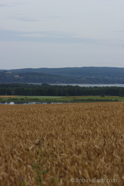 Utsnitt for måneoppgang