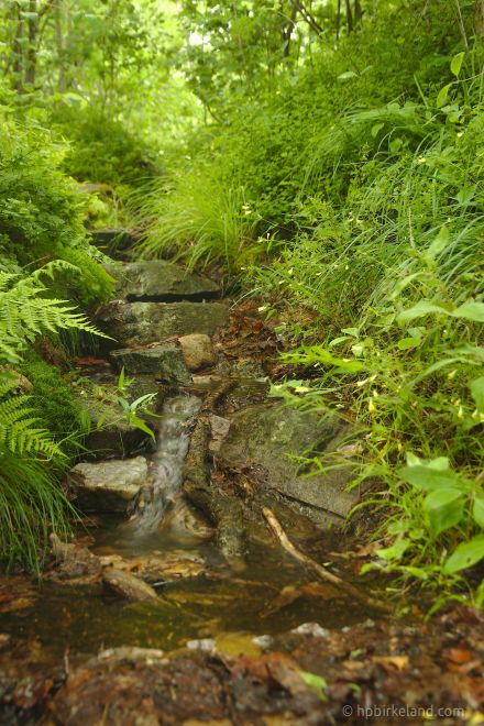 Canon EF-S 15-85 mm f/3.5-5.6 IS USM @ 27 mm, 1/4 s, f/4.5, ISO 100