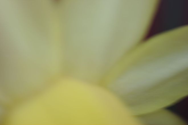 Auto White Balance, shot as RAW