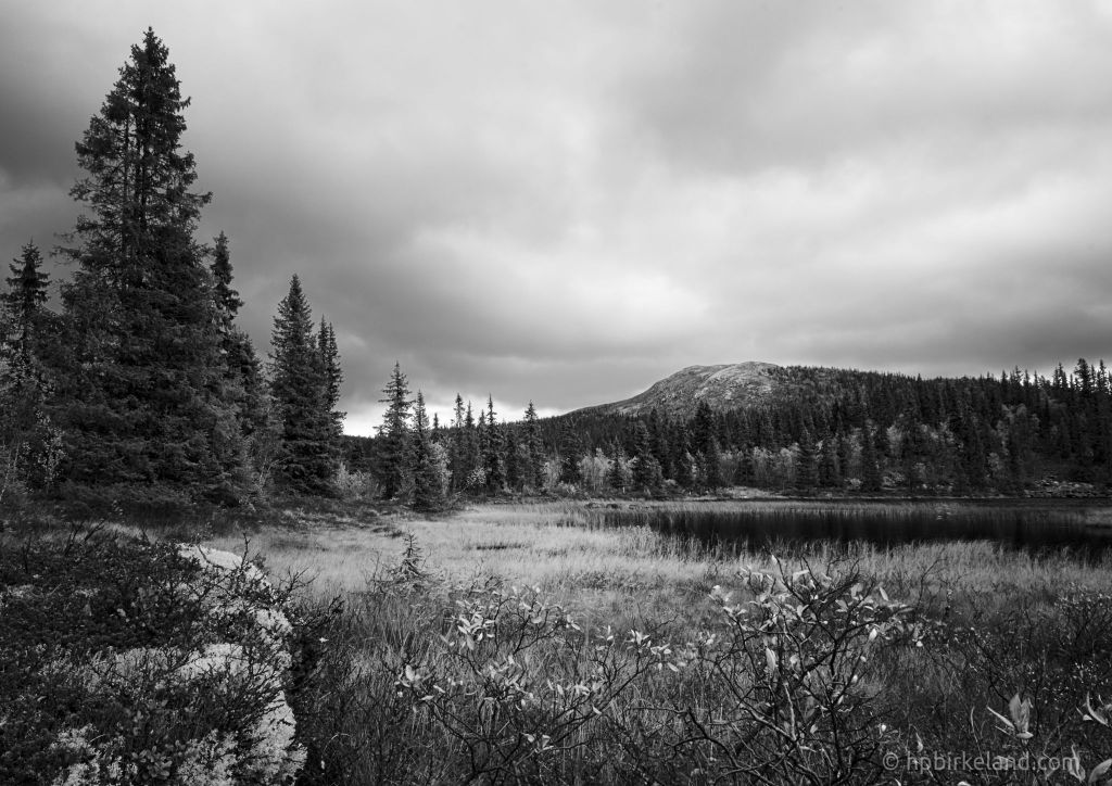 My approach at the Ansel Adams&nbsp;style