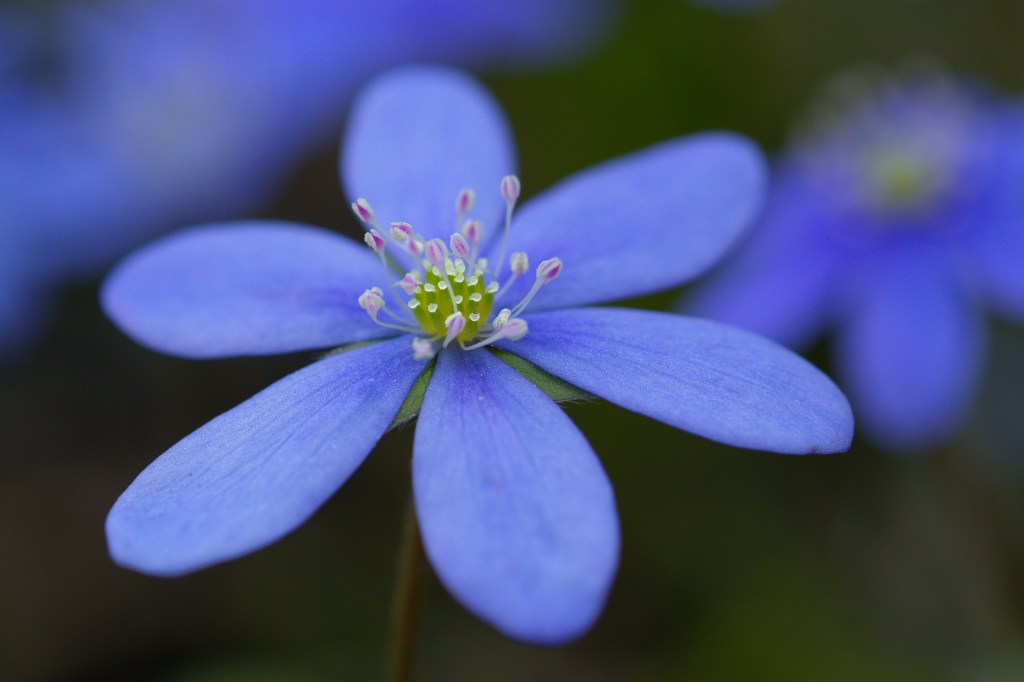 Lillestrøm, Norway, 2021