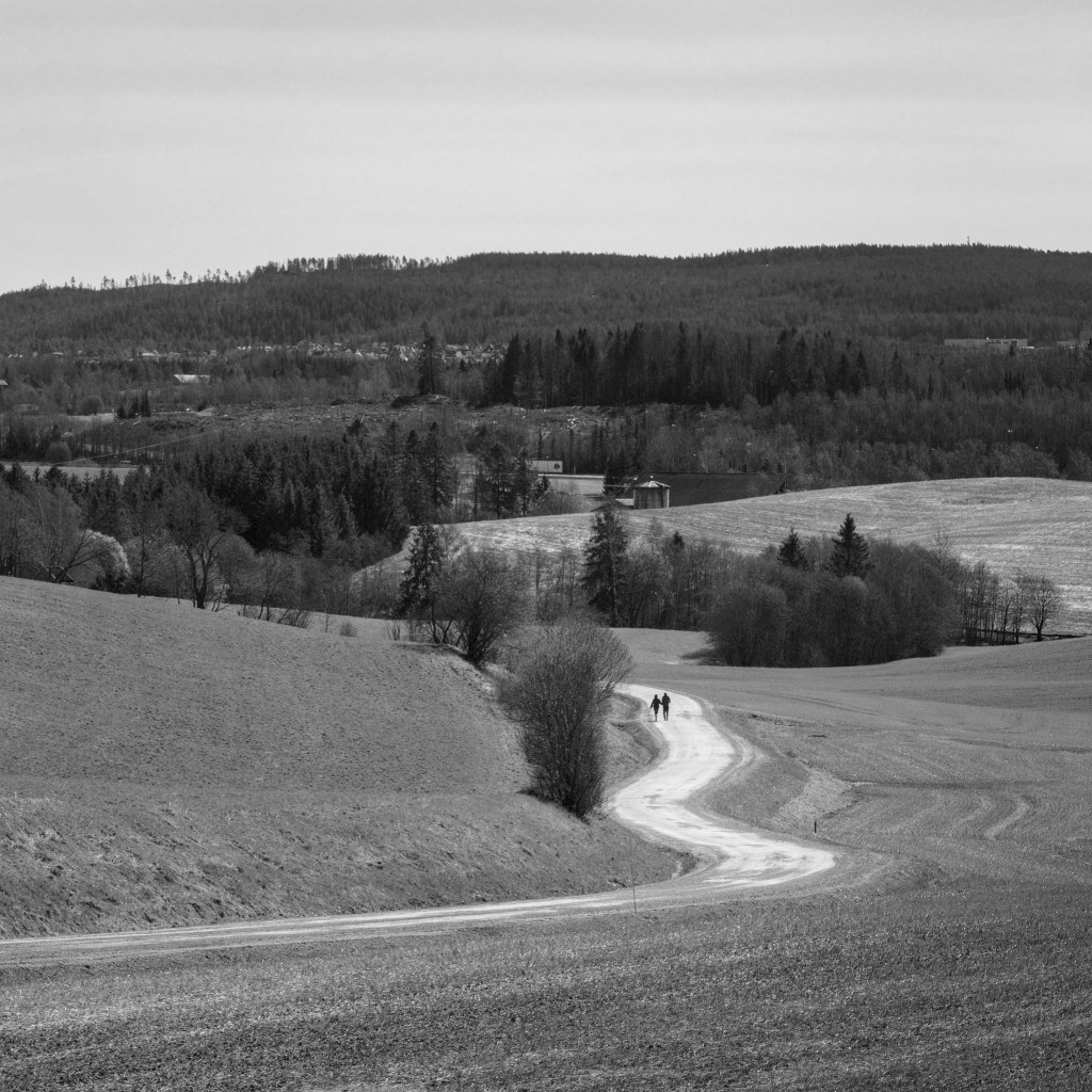 Long and Winding Road