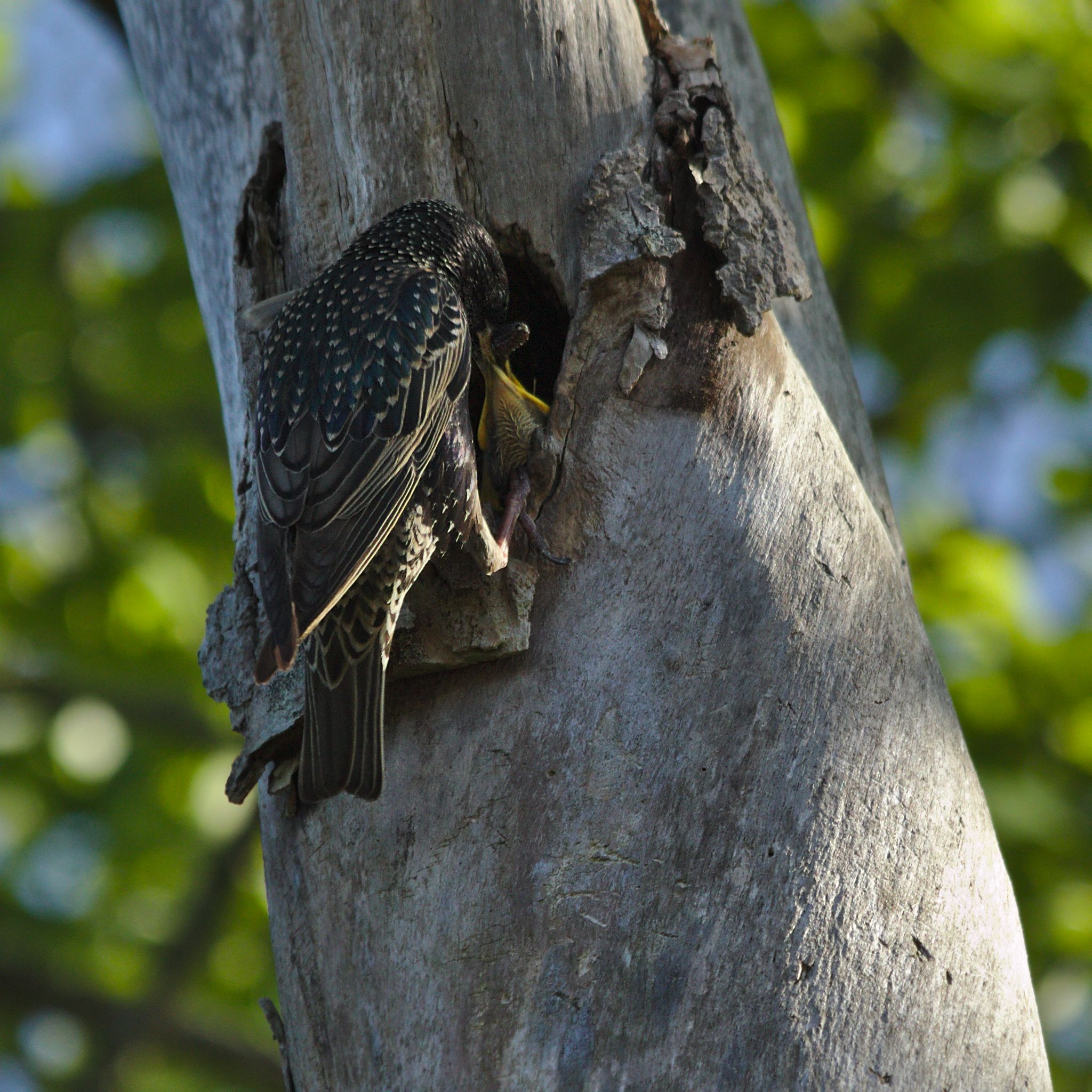 Lillesand 1_0363_2048