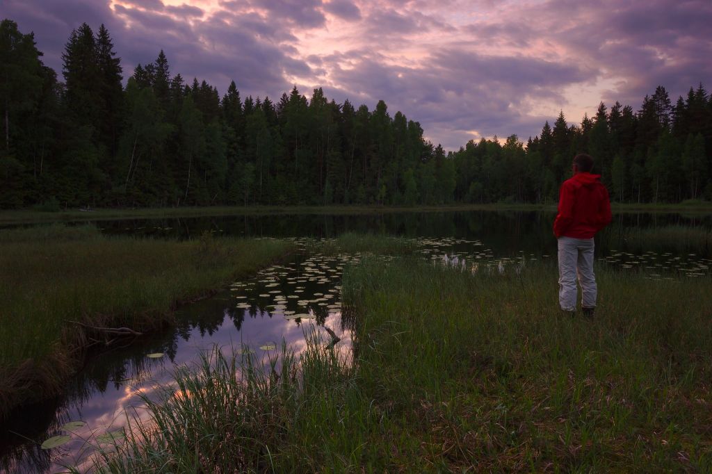 The Sound of&nbsp;Silence