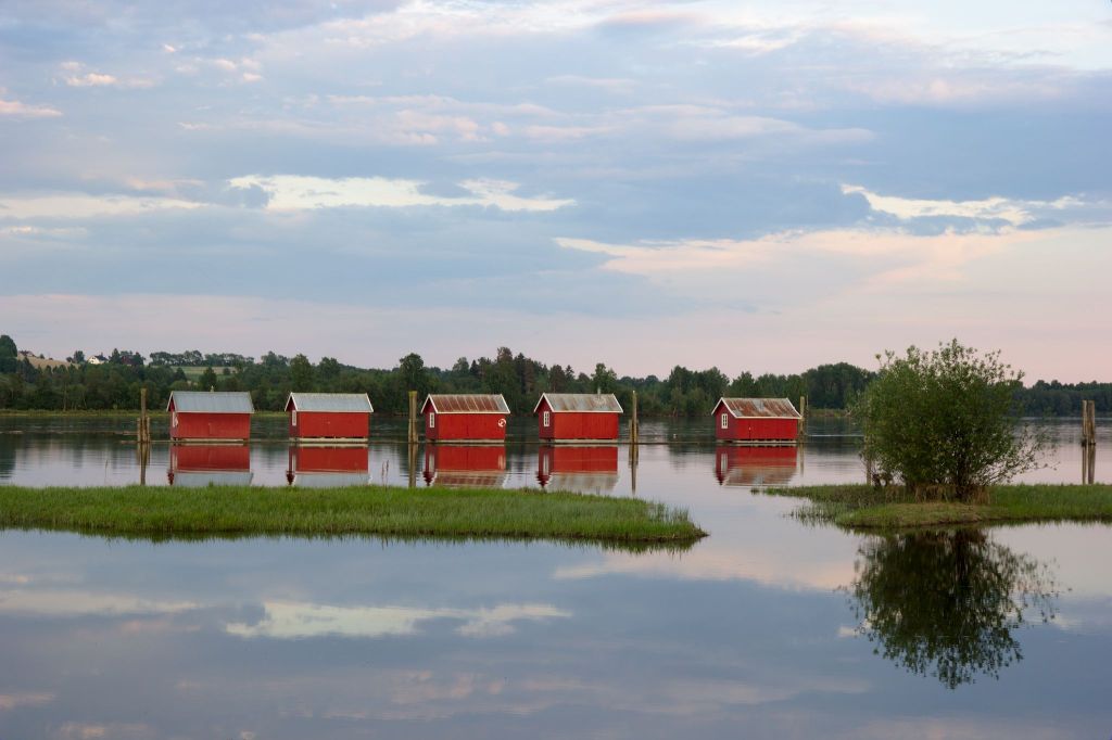 An evening at the Timber&nbsp;Booms