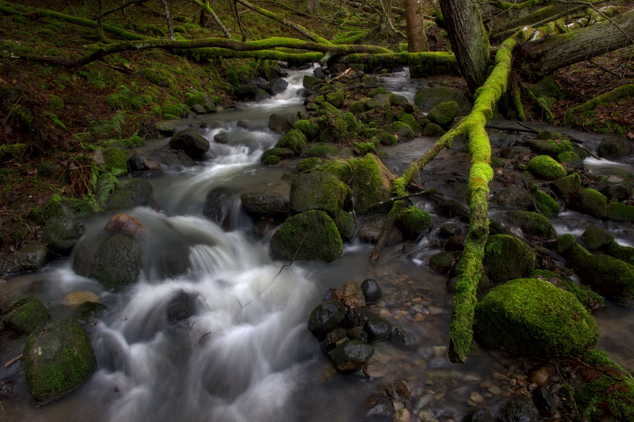 Borgenskogen_0017_2048
