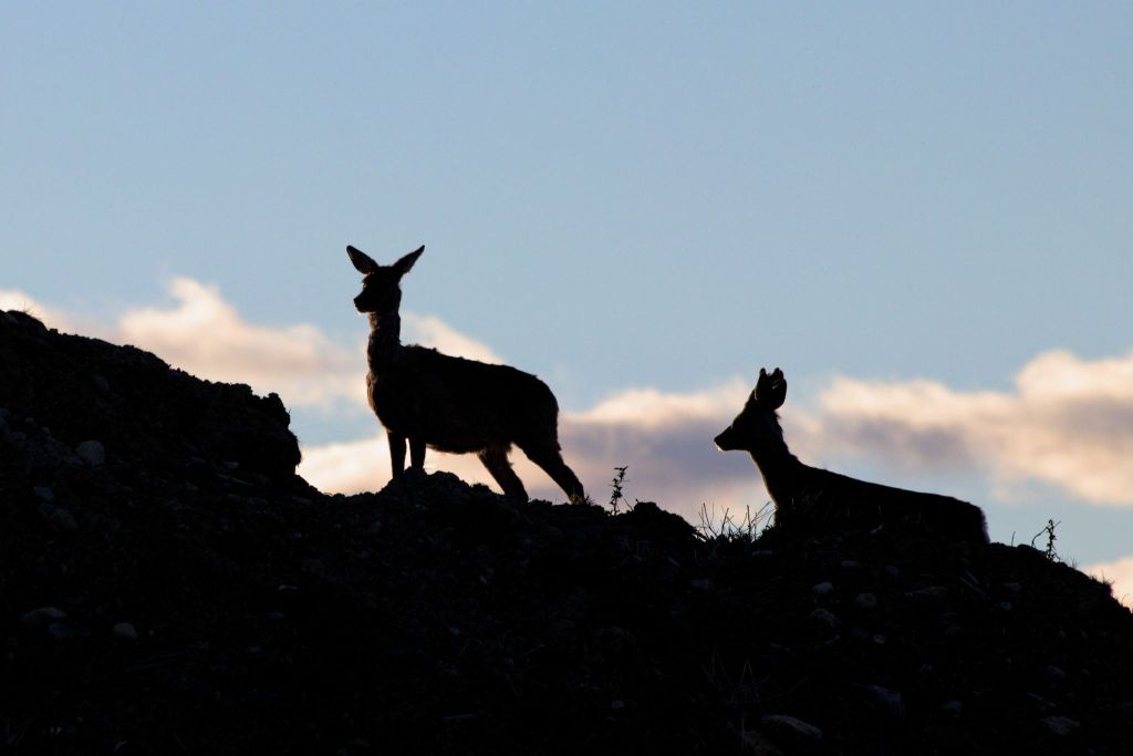 The joys of local&nbsp;nature